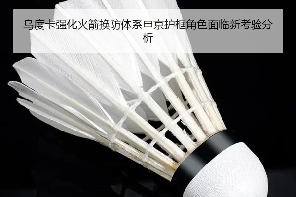 乌度卡强化火箭换防体系申京护框角色面临新考验分析